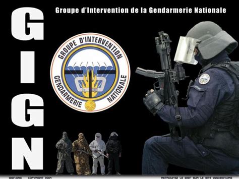 groupe d intervention de la gendarmerie nationale gign