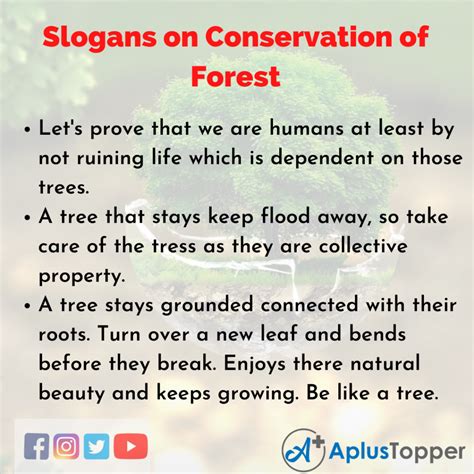 Slogans On Conservation Of Forest Unique And Catchy Conservation Of