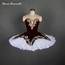 Customer Size Made Professional Ballet Costume Tutu Burgundy Velvet 