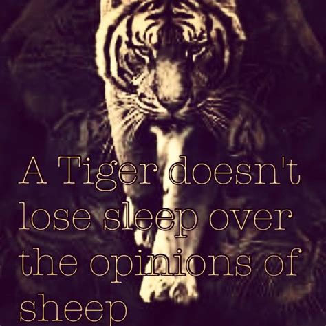 A Tiger Doesnt Lose Sleep Over The Opinion Of Sheep Inspirational