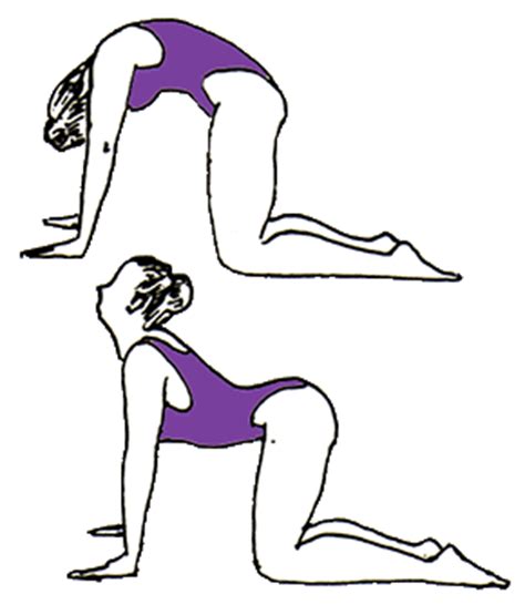 The cat and cow poses are simple and provide great benefits, including opening the lungs for better breathing. both the cat and cow poses stretch the lower spine, hips, back and core muscles. Lesson 9 - Flexibility of the Spine