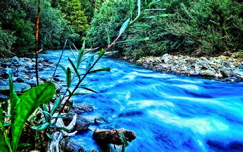 2k Free Download Blue River Forest Summer R Beautiful Nature