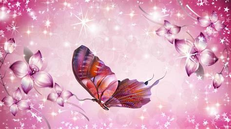 Pink Butterfly Hd Wallpaper 1920x1080 Download Hd Wallpaper