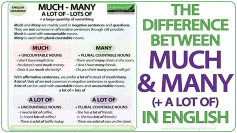 Much Vs Many Vs A Lot Of English Grammar Lesson Youtube