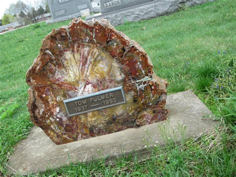 Petrified Wood Tombstone My Dad Would Have Love Itrock