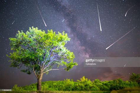 Green Tree Milky Way Night Sky Falling Stars High Res Stock Photo