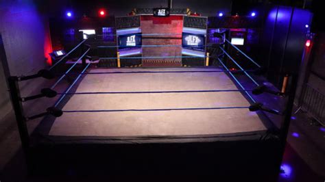 Pro Wrestling Ring Pro Fight Shop