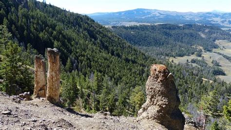 Specimen Ridge Yellowstone Located On The Southern Side Of The Lamar