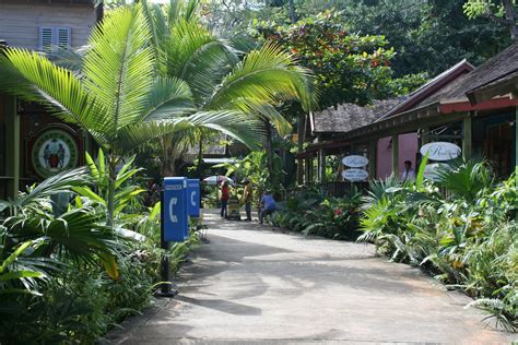Rainforest Village Rainforest Cruise Village Amazon Road