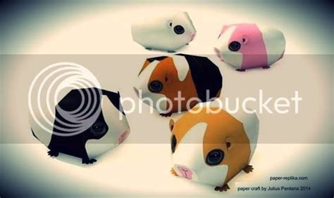 Papermau Easy To Build Guinea Pig Paper Toys By Paper Replika