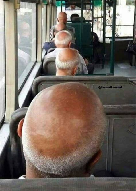 The Bald Bus Gag