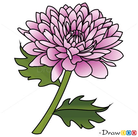 This is the easy video i show the drawing and coloring here. How to Draw Peony, Flowers