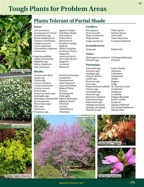 Johnsons Nursery Plant Reference Guide