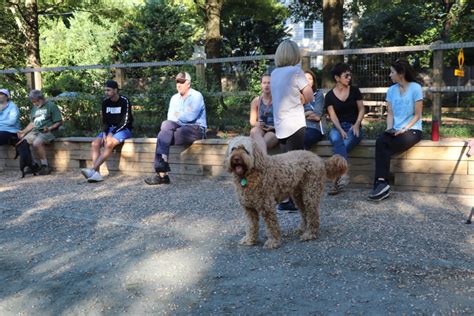 Meet The Residents Trying To Save Chevy Chase Villages Dog Park