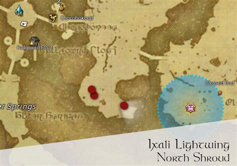 Ffxiv Ixali Lightwing Location Immortal Flames Hunting Log