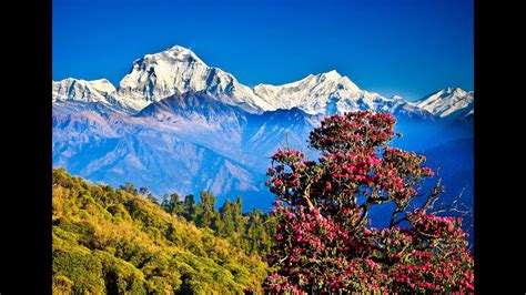 The Most Beautiful Place In The World Pokhara Nepal 世界