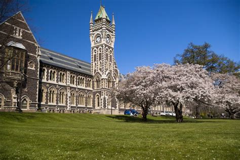 University Of Otago Moves Some Courses Online My Little Local