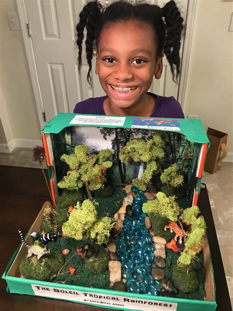 How To Make A Tropical Rainforest Diorama For Under 20 Diy Science