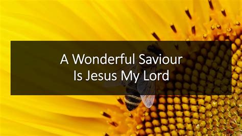 A Wonderful Saviour Is Jesus My Lord Youtube