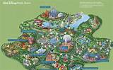 Walt Disney World Amusement Park Pictures