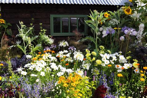 cottage garden plants 12 floral must haves in your cottage garden setting real homes