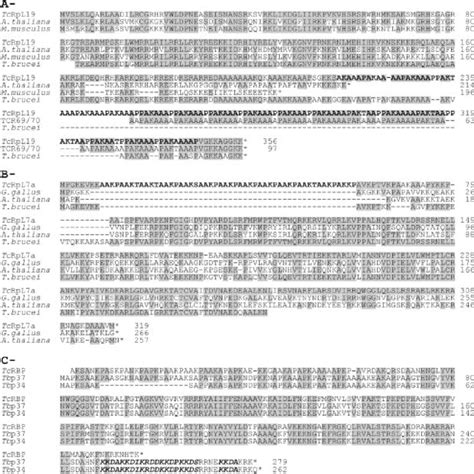 a c amino acid sequence comparison of trypanosoma cruzi rpl19 tcag26 download scientific