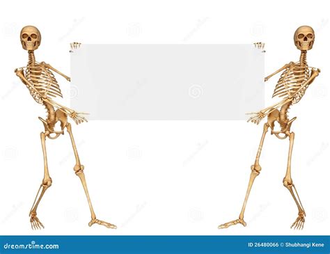 Skeleton Holding A Sign With Both The Hands Stock Illustration