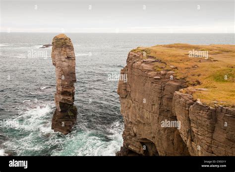 Yesnaby Castle A Sea Stack At Yesnaby On Orkney Mainland West Coast