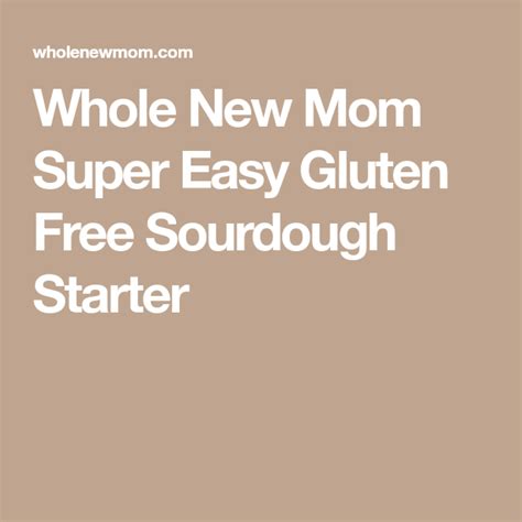 Whole New Mom Super Easy Gluten Free Sourdough Starter Gluten Free