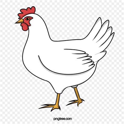 The Best Ayam Clipart Gak Masalah