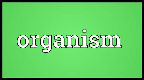 Organism Meaning Youtube