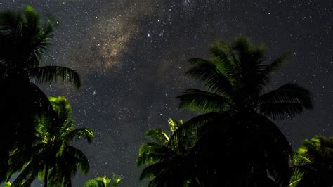 Download Wallpaper 1920x1080 Starry Sky Palm Trees
