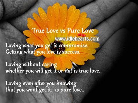 True Love Vs Pure Love True Love True Pure Products