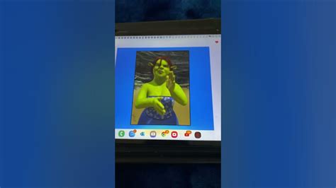 Shrek 2 Fiona Swimsuit Youtube