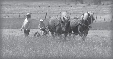 A Good Day Mowing At The Lazy M Ranch Small Farmers Journalsmall