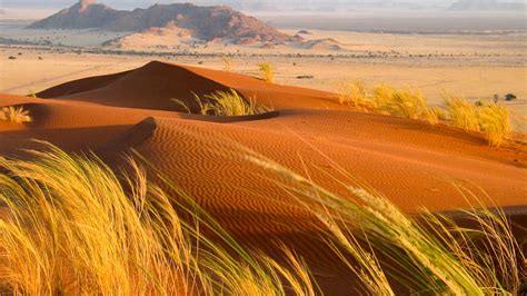 Kalahari Desert Adventure Tours Journeys International