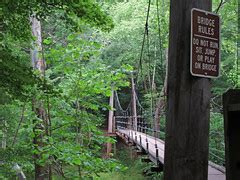 The cole mill loop trail at eno river state park. Hiking in Eno River State Park - Best Hikes, Guides, and ...