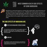 Images of Harmful Effects Of Marijuana