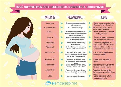 Infografía Nutrientes necesarios durante el embarazo