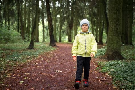 Boy Lost In Woods Stock Photos Pictures And Royalty Free Images Istock