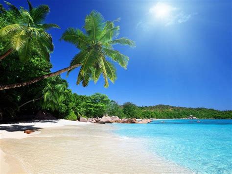 Tropical Scenes Wallpapers Top Free Tropical Scenes Backgrounds