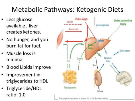 R.f.'s acidosis was thought to be the result of euglycemic dka, likely triggered by his ketogenic diet; Ketosis Archives - Ketogains