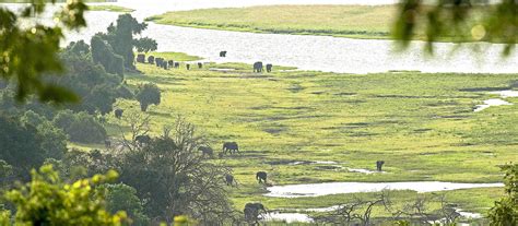 Chobe Chilwero Lodge Luxury Botswana Safaris Chobe