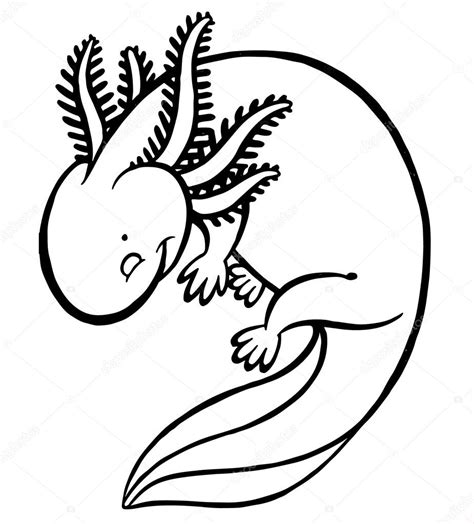 Axolotl Drawing At Getdrawings Free Download