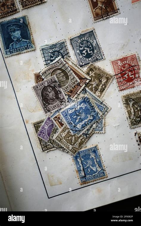 Belgium Stamps Collection Stamp Album Early 20 Th Century Stock