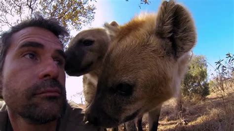 Gopro Lions The New Endangered Species Youtube