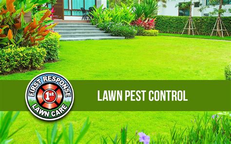 Lawn Pest Control Millikens Irrigation And Lawn Maintenance First