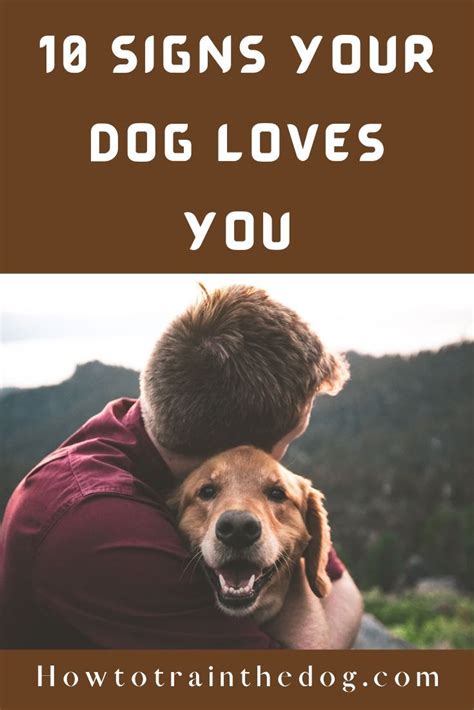 10 Signs That Shows Your Dog Loves And Adores You Dog Love Dogs Dog