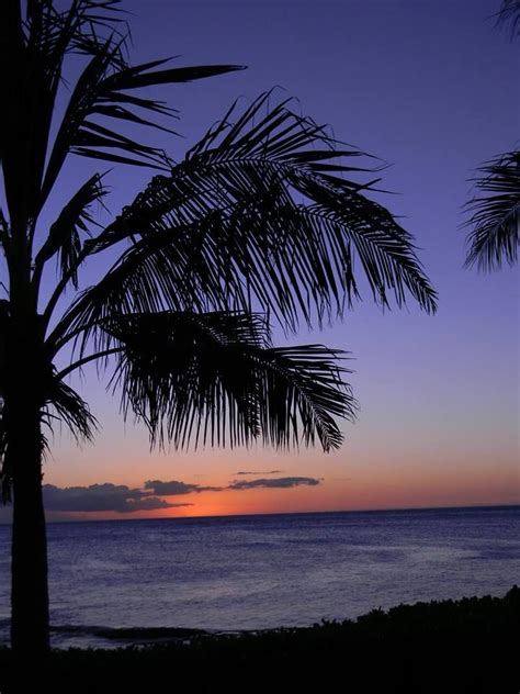 We found 6 active listings for mobile & manufactured homes. Paradise Cove, HI image by Mamaw J | Paradise cove, Hi ...