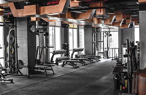 D5 Executive Gym Brings A New Concept To Fitness Aande Magazine